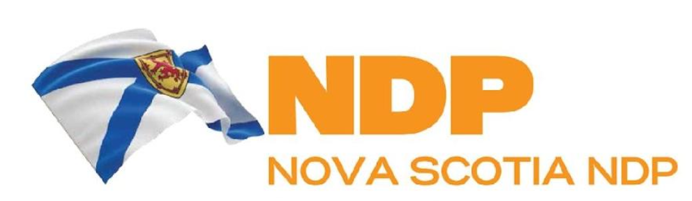 NDP Logo